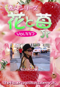 素人シリーズ 花と苺 Jr Vol.337