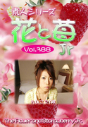 素人シリーズ 花と苺 Jr Vol.388