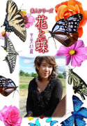 素人シリーズ 花と蝶 Vol.337