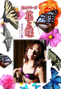 素人シリーズ 花と蝶 Vol.431