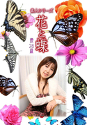 素人シリーズ 花と蝶 Vol.443