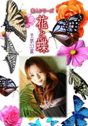 素人シリーズ 花と蝶 Vol.495