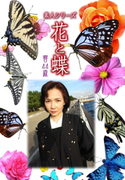 素人シリーズ 花と蝶 Vol.496