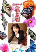 素人シリーズ 花と蝶 Vol.522