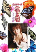 素人シリーズ 花と蝶 Vol.955