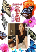 素人シリーズ 花と蝶 Vol.960