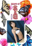 素人シリーズ 花と蝶 Vol.967