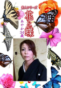 素人シリーズ 花と蝶 Vol.1098