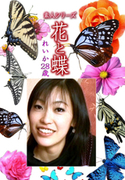 素人シリーズ 花と蝶 Vol.1107