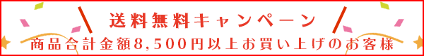 送料無料キャンペーンの詳細はこちら