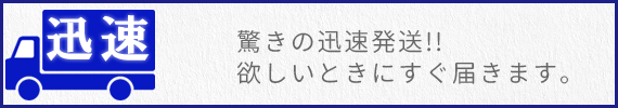 驚きの迅速発送!!欲しい時にすぐに届きます。